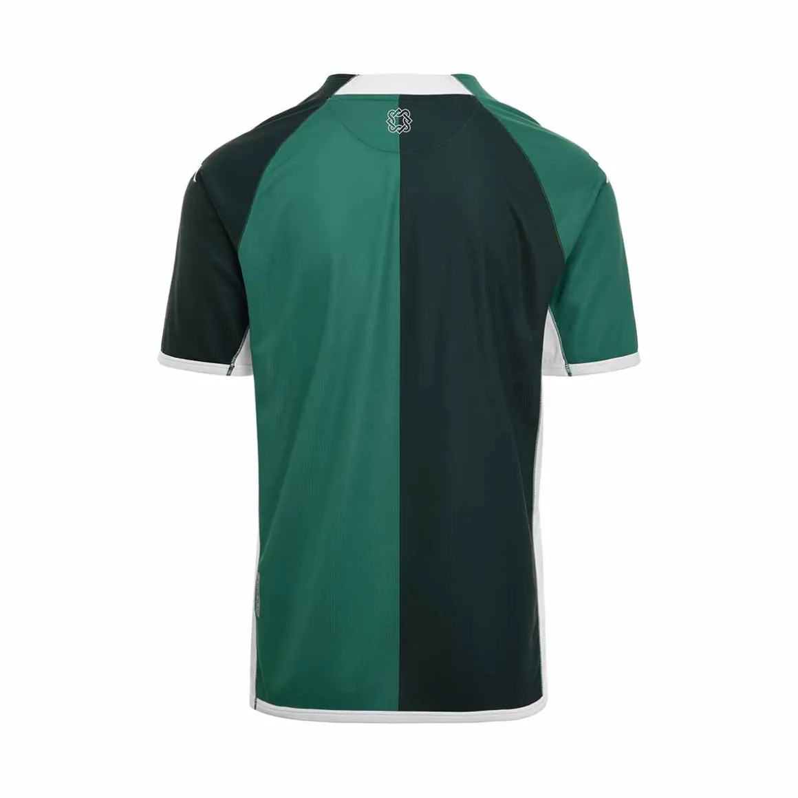 Maillot Kombat Home Red Star Fc 22/23 Vert Enfant