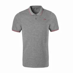 Polo Homme Ezio Gris
